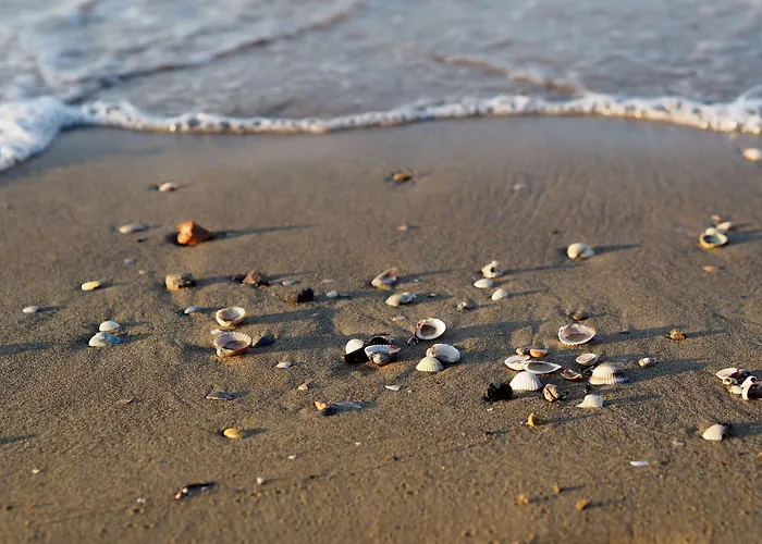 Flat With Luminous Terrace Close To The Sea Lejlighed *